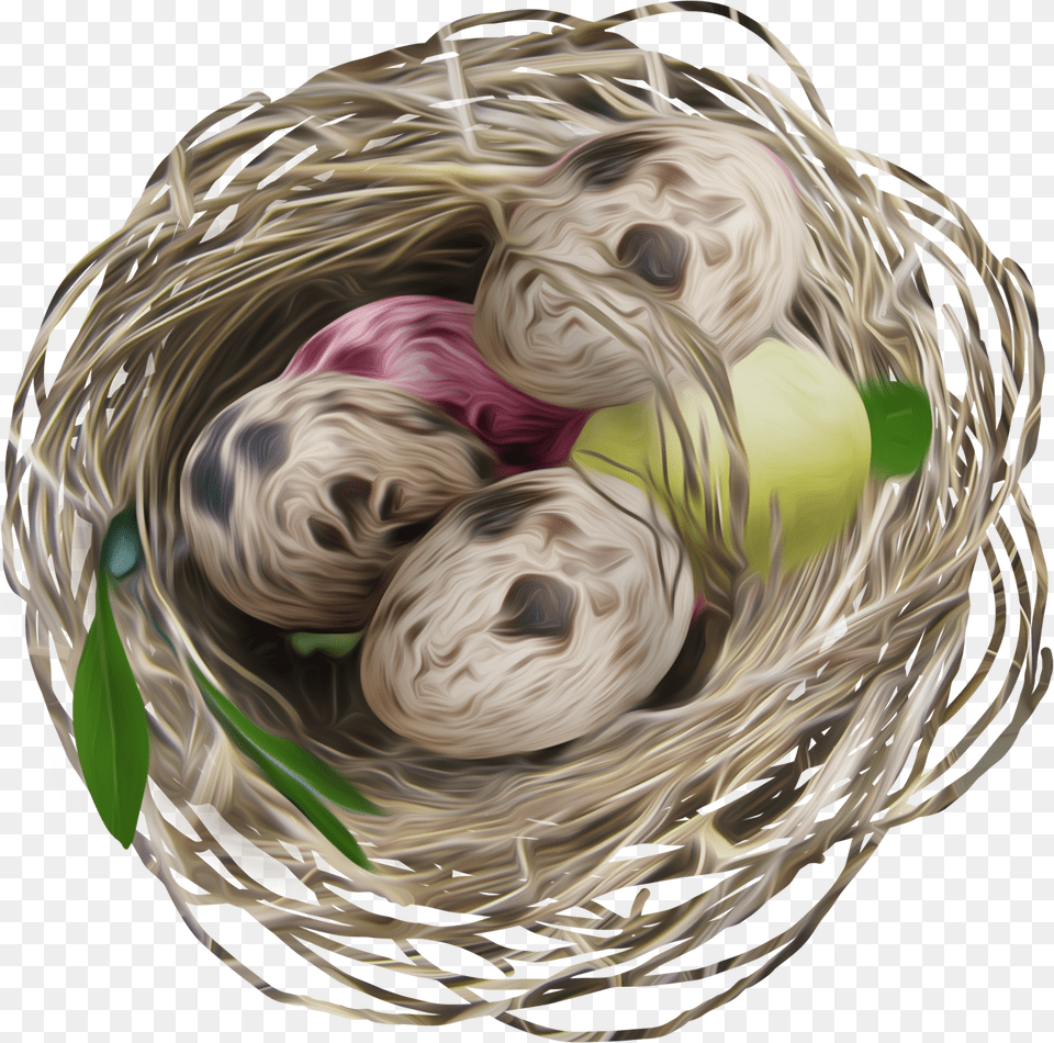 Nest, Baby, Person Free Png Download