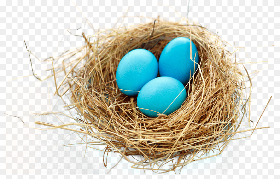 Nest, Egg, Food Png