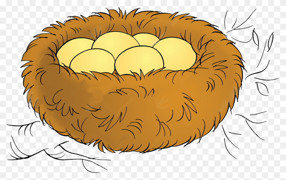 Nest, Baby, Person, Egg, Food Free Transparent Png