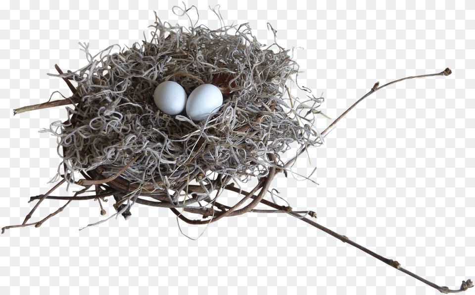 Nest Birds Nature Twig, Egg, Food Free Transparent Png