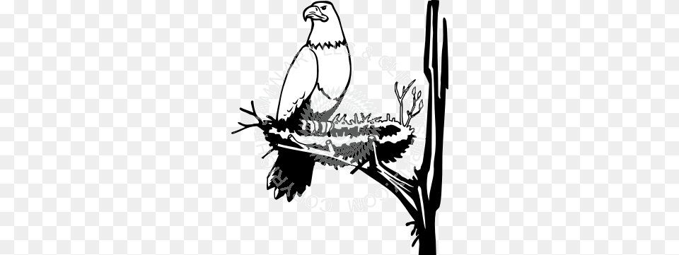 Nest Clipart Eagle Nest, Animal, Beak, Bird, Vulture Free Png