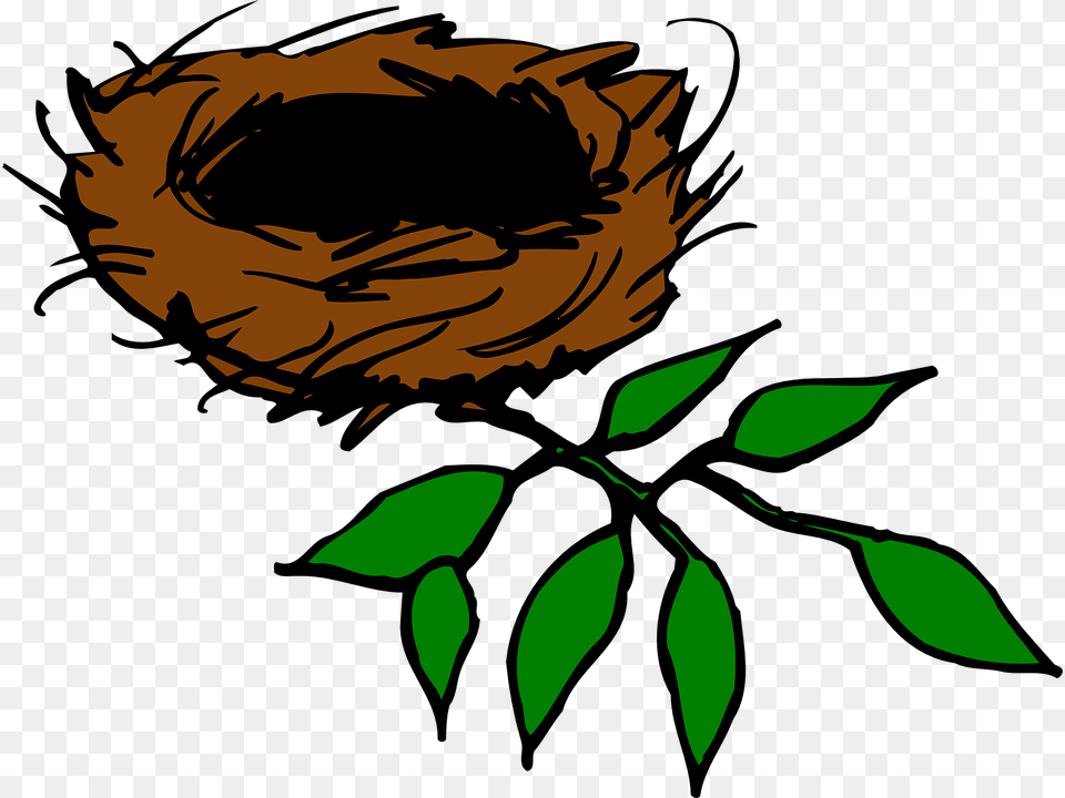 Nest Clipart Parrot Nest, Plant, Leaf, Herbs, Herbal Png