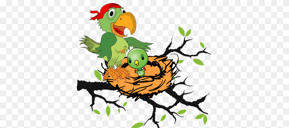 Nest Clipart Parrot Nest, Animal, Beak, Bird, Parakeet Png