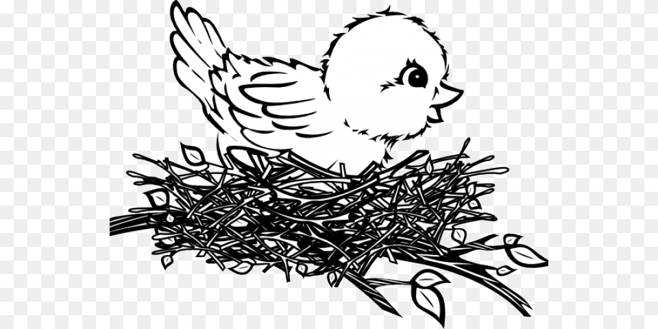 Nest Clipart Sparrow Nest Birds Nest Clipart Black And White, Baby, Person, Face, Head Free Png Download