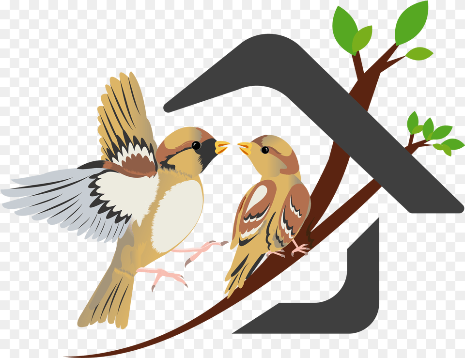 Nest Clipart Sparrow Save Sparrow, Animal, Beak, Bird, Finch Free Transparent Png
