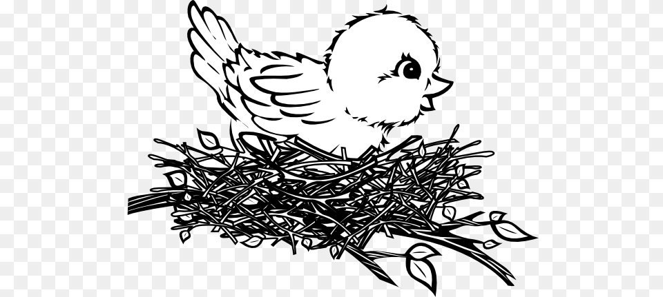 Nest Cliparts, Baby, Person, Head, Face Free Transparent Png