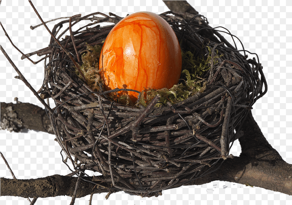 Nest Easter Photo On Pixabay, Food, Egg Free Png
