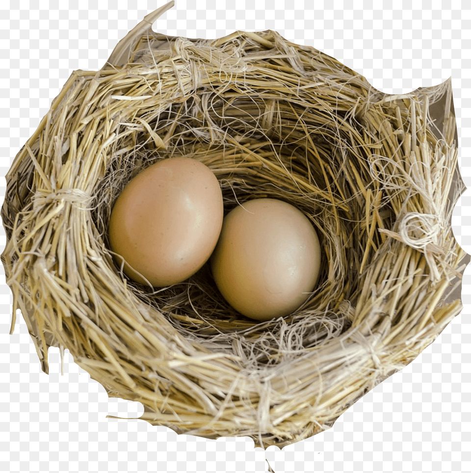 Nest Nest, Egg, Food Free Png Download