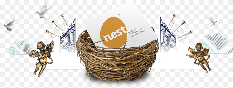 Nest Pensions Nest Workplace Pensions, Person, Animal, Baby, Bird Free Png