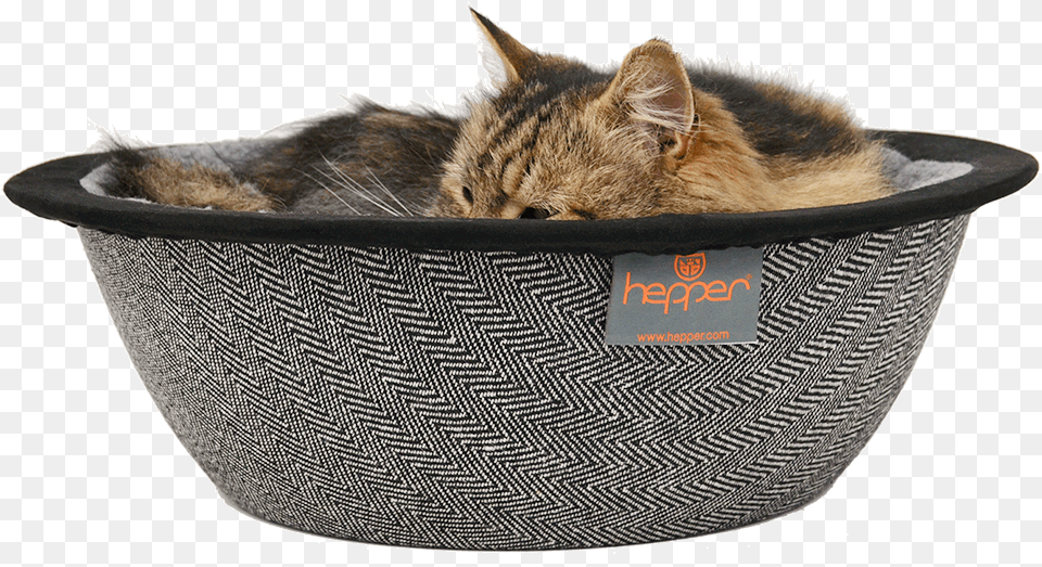 Nest Pet Bed Dog Beds, Basket, Animal, Cat, Mammal Free Transparent Png