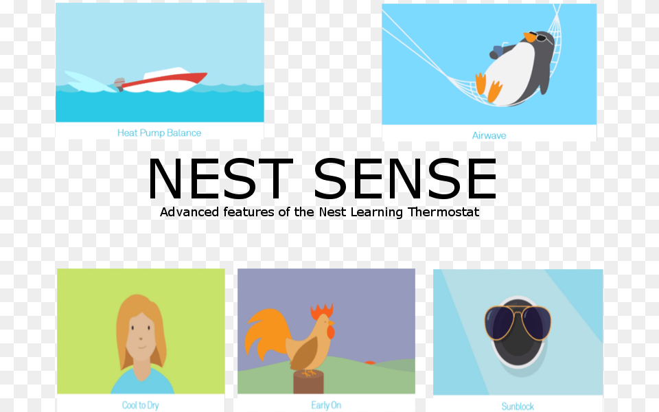 Nest Sense Storm Chaser, Accessories, Sunglasses, Poultry, Fowl Free Transparent Png