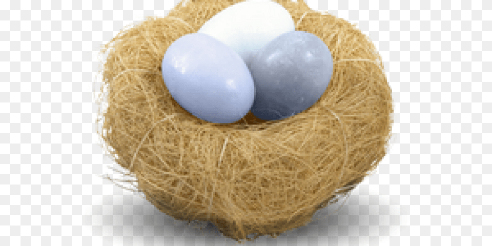 Nest Transparent Images Egg In Nest, Balloon Free Png Download