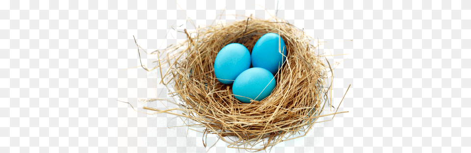 Nest Transparent Images Transparent Background Birds Nest Free Png