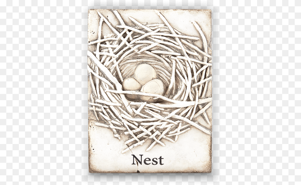Nest Visual Arts Png