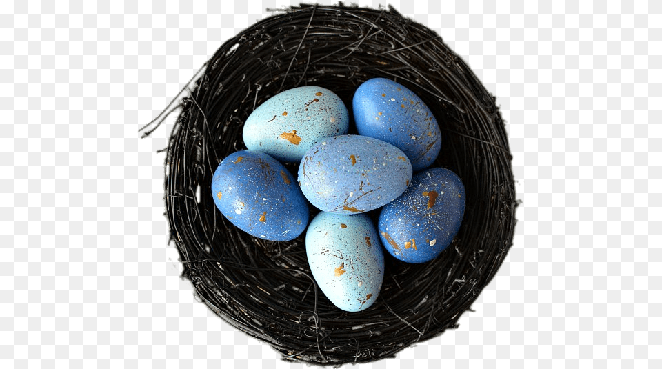 Nest With Blue Eggs Transparent Egg, Food, Fungus, Plant Free Png
