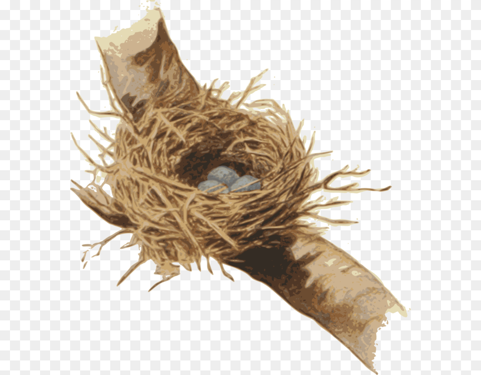 Nestbird Nestplant Nest Clipart, Person Free Png Download