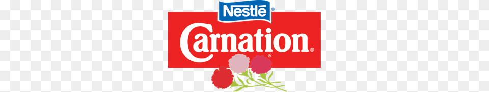 Nestle Carnation Logo, Flower, Plant Free Png