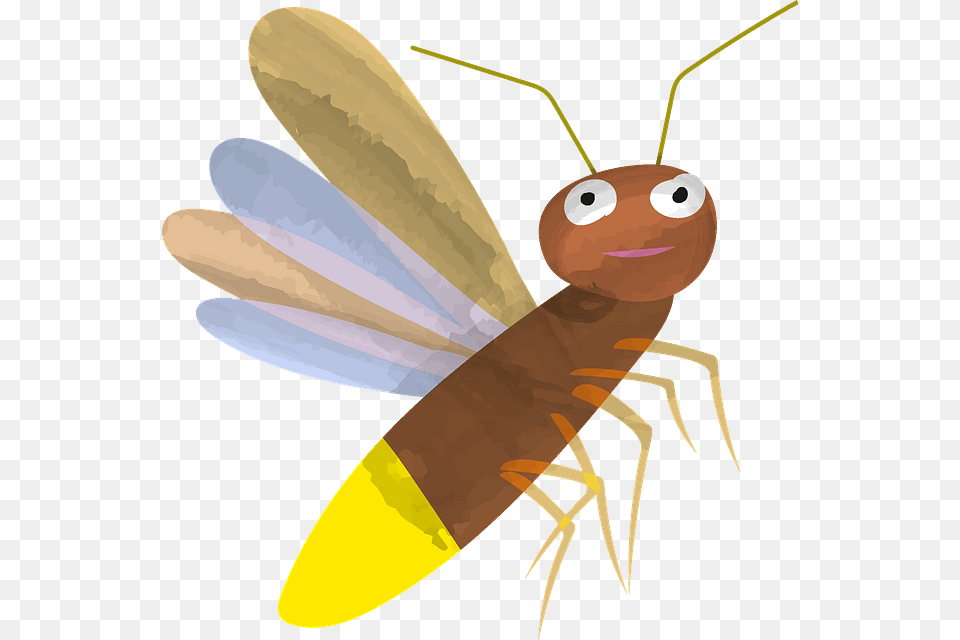 Net Winged Insects, Animal, Face, Head, Person Png