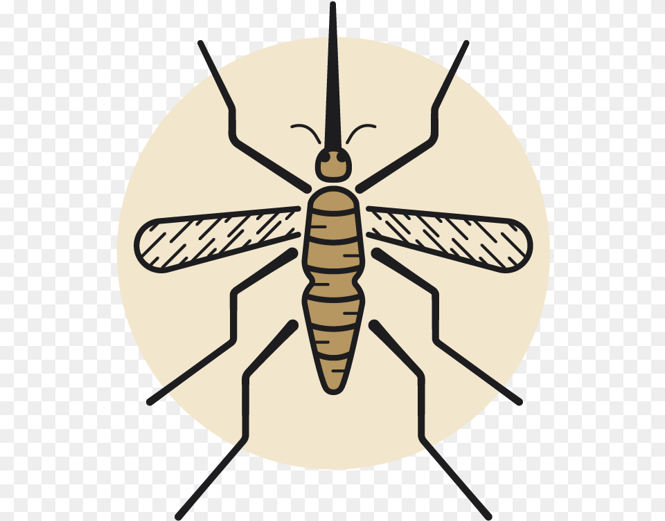 Net Winged Insects, Animal, Device, Grass, Lawn Png