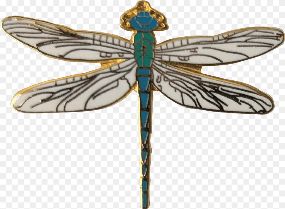 Net Winged Insects, Animal, Dragonfly, Insect, Invertebrate Free Transparent Png