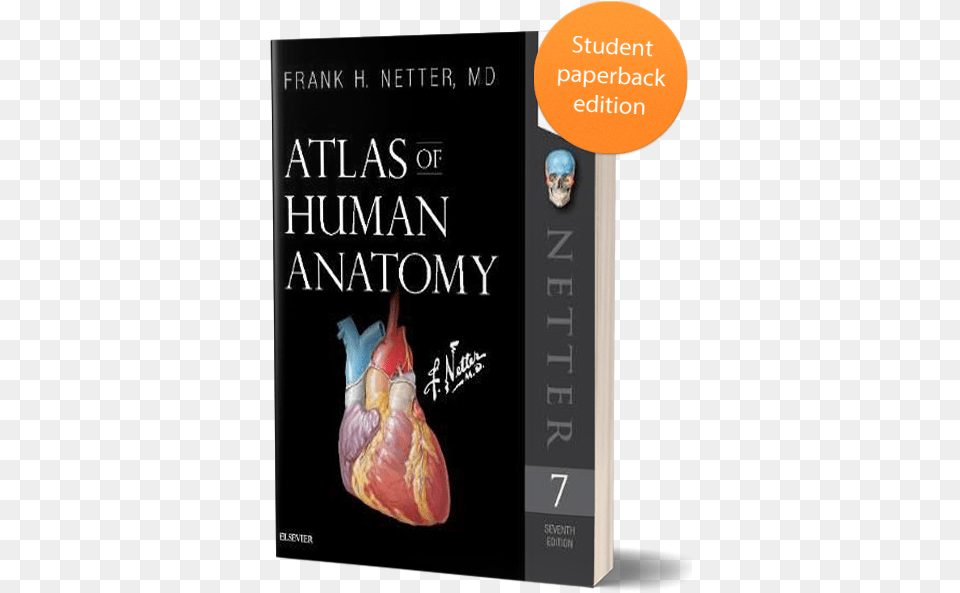 Netter Student Atlas Of Human Anatomy Netter, Book, Novel, Publication, Blackboard Free Png Download