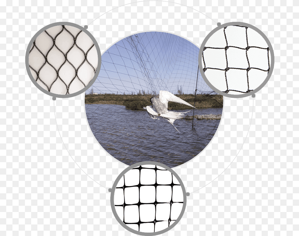 Netting Lake Bird Netting Fishing Net Mesh, Sailboat, Vehicle, Boat, Transportation Free Png Download