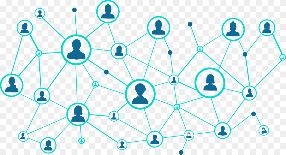 Network Graph People Network Free Png