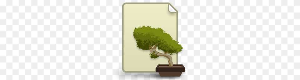Network Icons, Plant, Potted Plant, Tree, Bonsai Png
