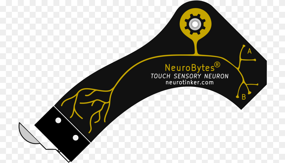 Neurobytes Touch Sensory Neuron Mobile Phone, Text Png Image