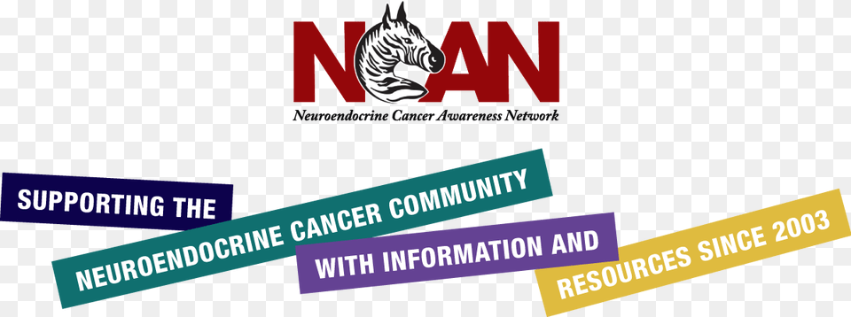 Neuroendocrine Cancer Awareness Network Illustration, Advertisement, Logo Free Png Download