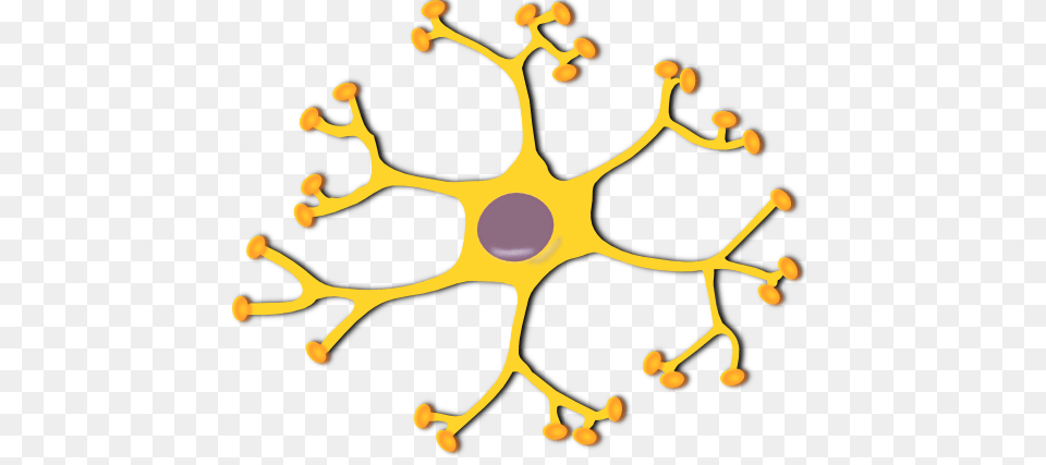 Neuron, Accessories, Plant, Pollen, Pattern Png