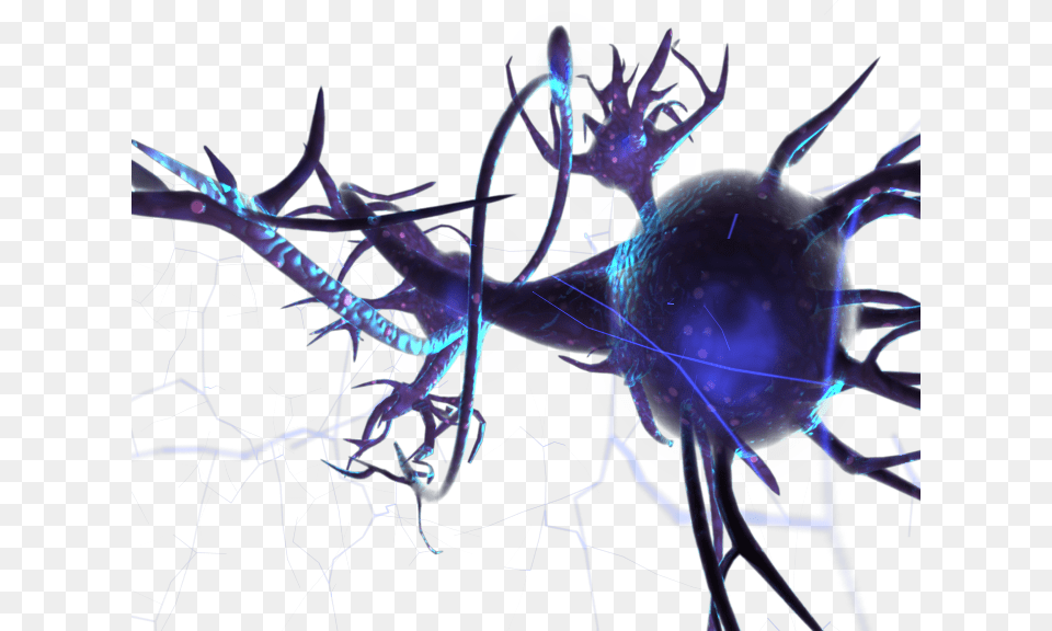 Neuron, Accessories, Ornament, Pattern, Fractal Free Png