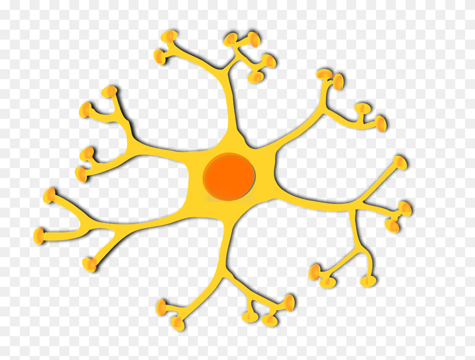 Neuron Clipart, Plant, Pollen, Pattern, Accessories Png