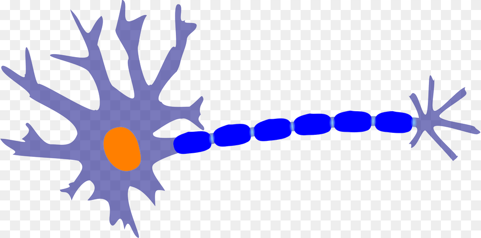 Neuron Clipart, Accessories, Outdoors, Pattern Free Transparent Png