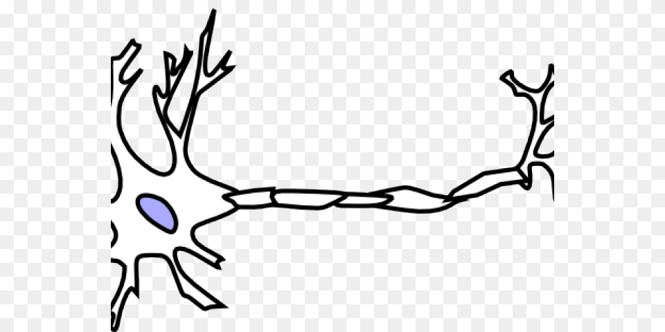Neuron Clipart Synapse, Stencil, Person, Antler Png