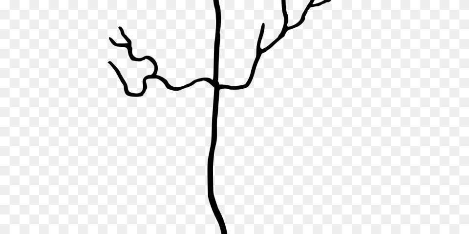 Neuron Clipart Gray Free Transparent Png