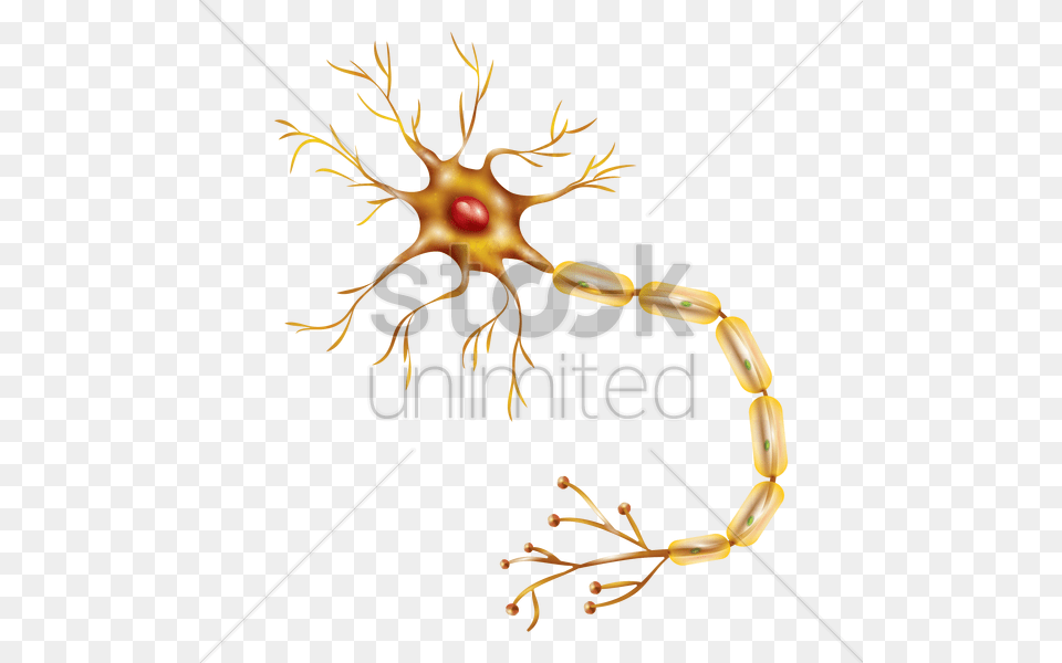 Neuron Clipart Transparent Neuron, Animal Png Image