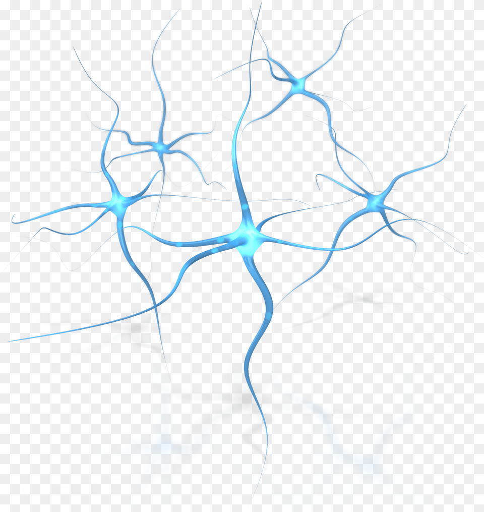 Neuron Flower Human Download Brain Neurons With Background, Accessories Free Transparent Png