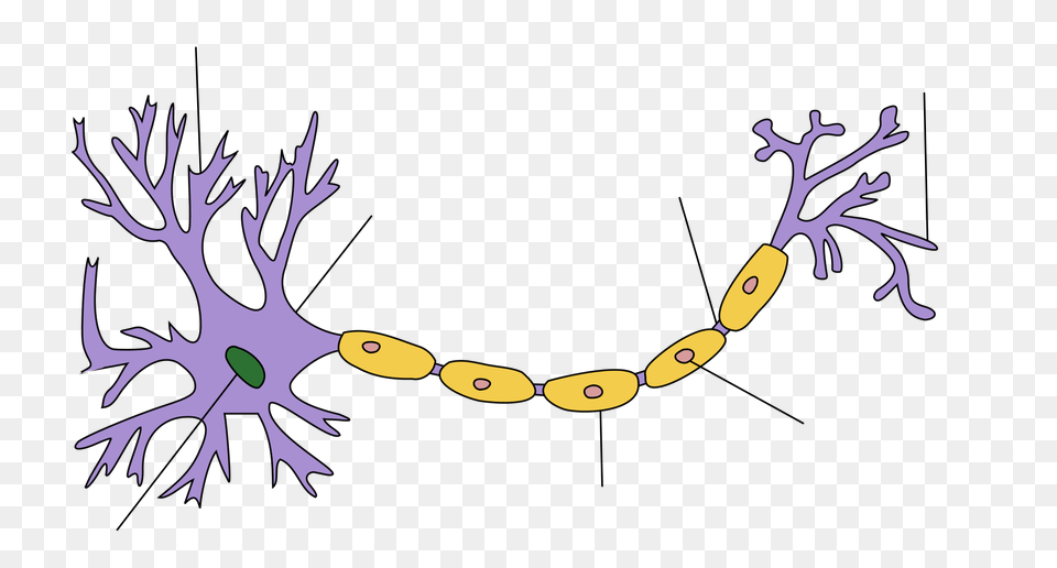 Neuron Hand Tuned, Accessories, Antler, Jewelry, Necklace Free Png Download