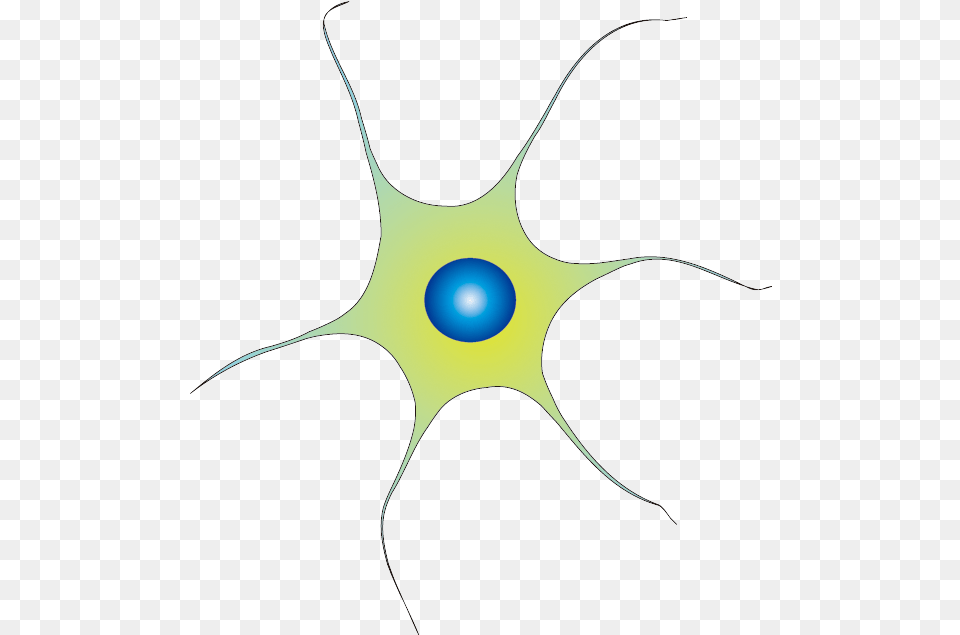 Neuron Image Circle, Accessories, Pattern, Fractal, Ornament Free Transparent Png