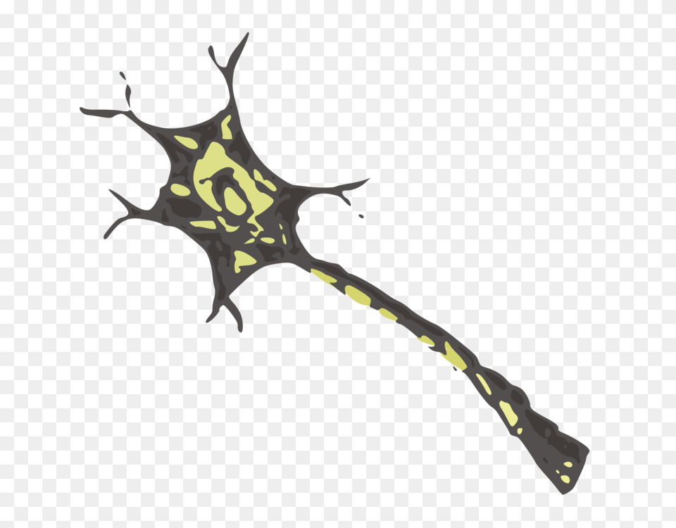Neuron Nervous System Cell Brain Nerve, Sword, Weapon, Person Png