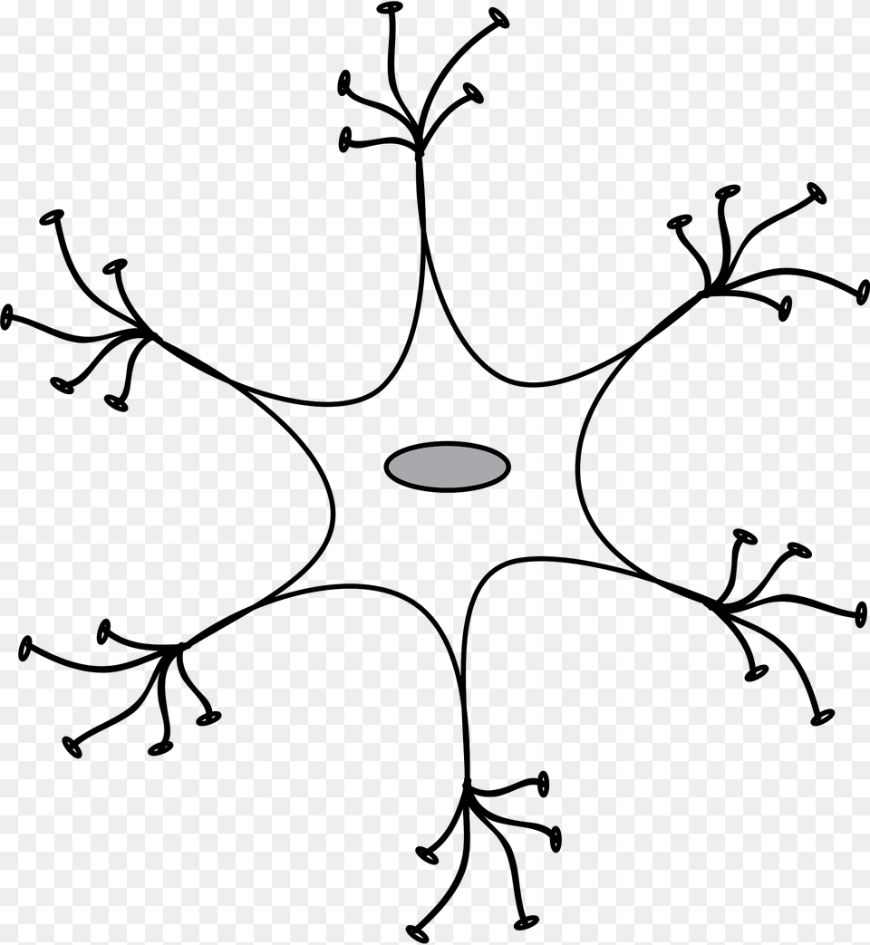 Neurone Clipart, Pattern, Leaf, Plant, Animal Free Png