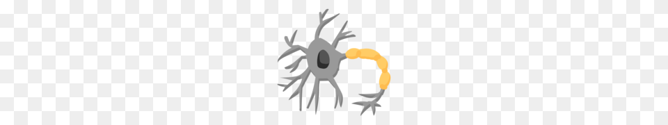 Neurons, Electronics, Hardware, Person, Animal Free Transparent Png