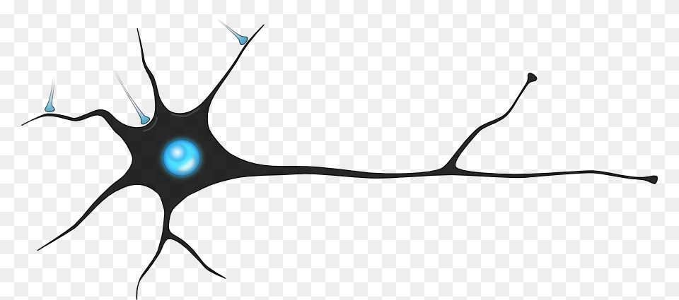 Neurons Image, Accessories, Pattern Png