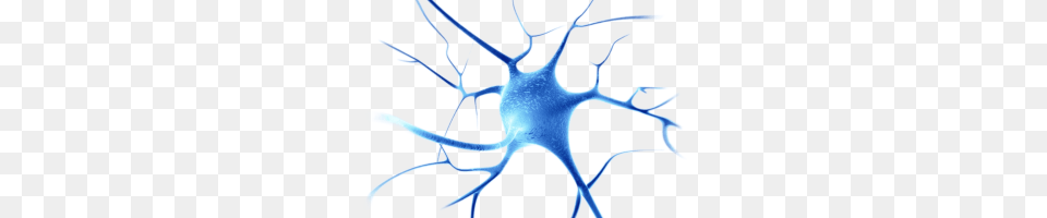 Neurons Image, Accessories, Bow, Weapon, Pattern Free Transparent Png