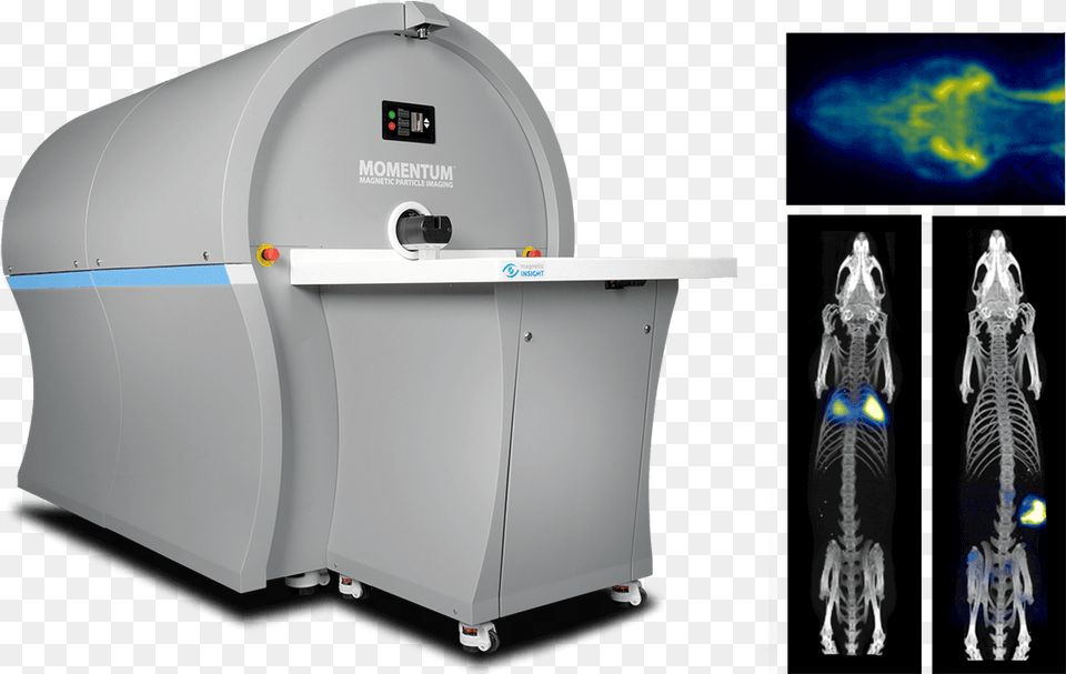 Neurovascular Perfusion And Blood Pool Imaging Magnetic Particle Imaging, Ct Scan, Animal, Insect, Invertebrate Png