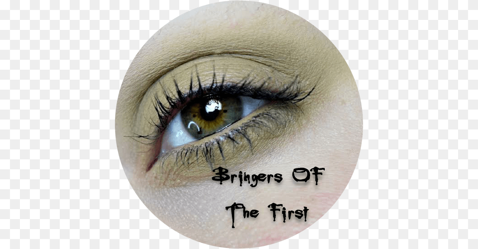 Neutral Eyelash Extensions, Adult, Female, Person, Woman Free Png Download