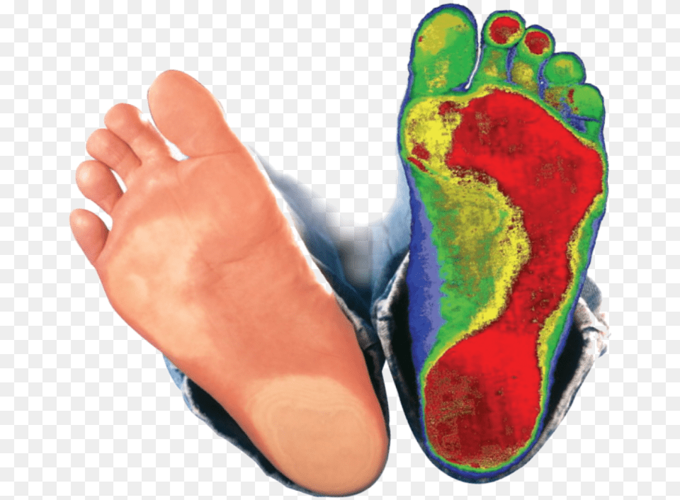 Neutral Foot Toe, Baby, Person Free Png