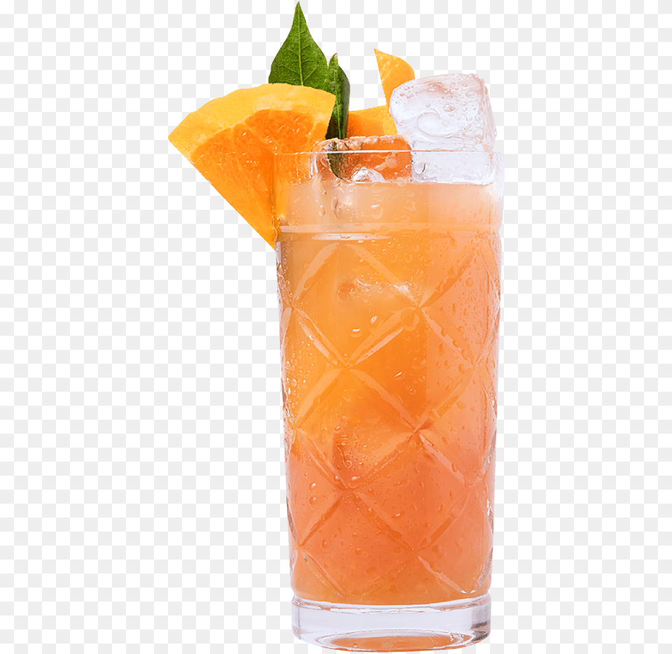 Neva Left Gin Amp Juice Gin And Juice Cocktail, Alcohol, Beverage, Plant, Mint Png