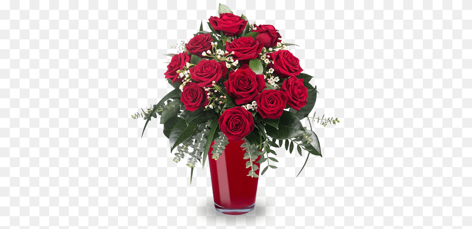 Never Ending Love 12 Red Roses Buon Compleanno Stefania Divertenti, Flower, Flower Arrangement, Flower Bouquet, Plant Png